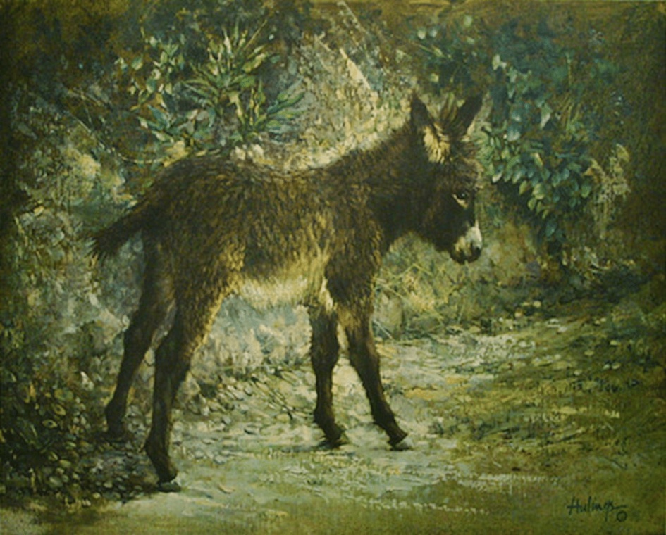 Elizabeth's Burro, by Clark Hulings