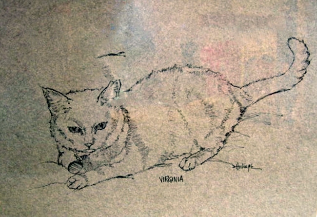 cat-pen-ink-drawing-clark-hulings-original-art