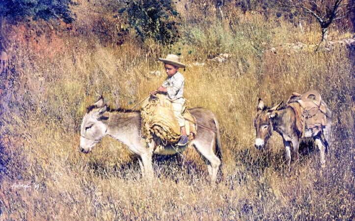 Boy on Burro - Pepito