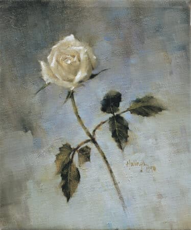 Single White Rose
