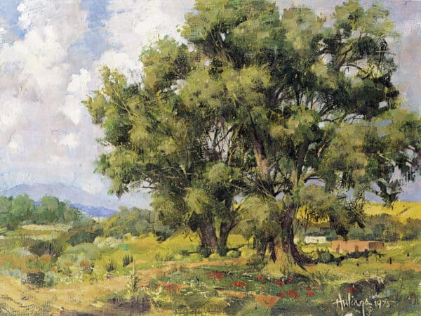 Taos Trees