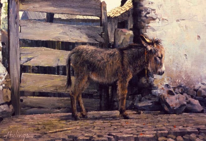 Donkey at Mikonos