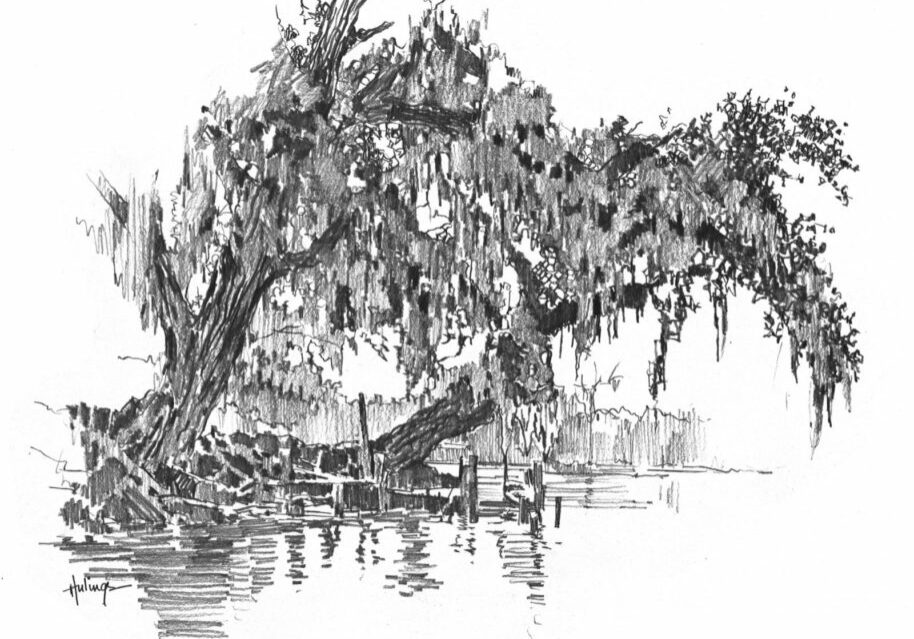 Spanish Moss Drawing, by Clark Hulings
