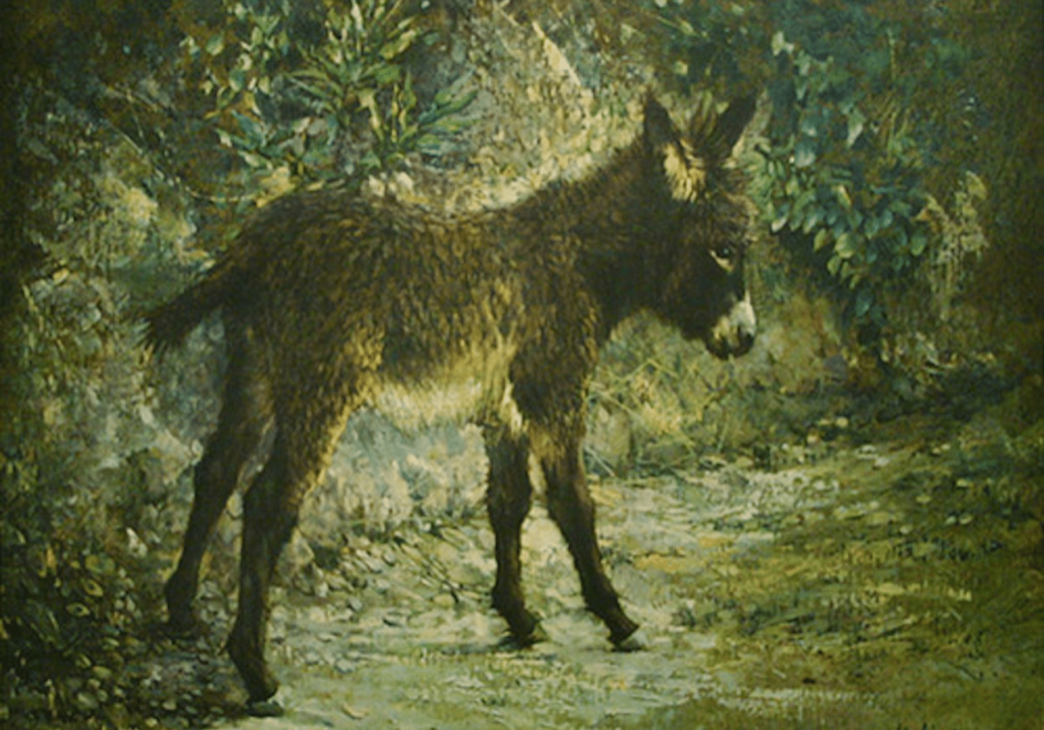 Elizabeth's Burro, by Clark Hulings